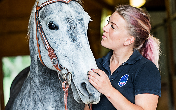 beläggningsarbetare2